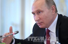 Tổng thống Nga và Ai Cập điện đàm về tình hình Trung Đông